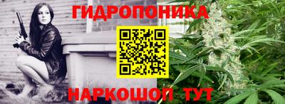 герыч Гатчина