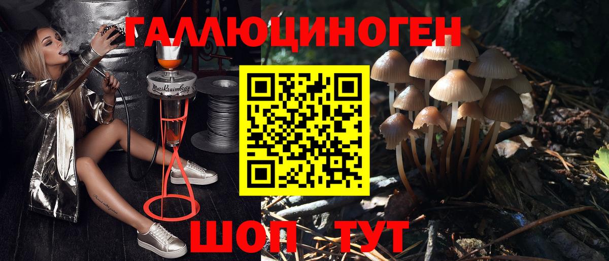 Дзержинск  Псилоцибиновые грибы прущие грибы  Вход с VPN 